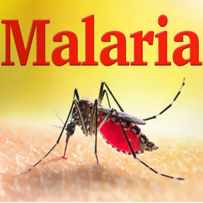How  Malaria Rapid Diagnostic Tests as Key Tools  to Eliminate Malaria?