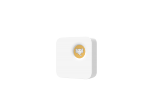 WIZBIOTECH Smart Themometer Kit for Temprature Monitor