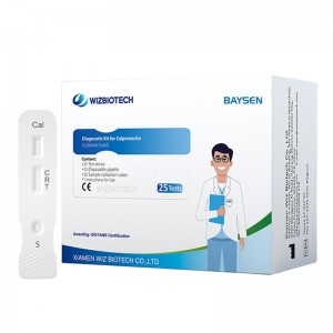 Fecal Calprotectin: The Cornerstone of Non-Invasive Inflammatory Bowel Disease Management