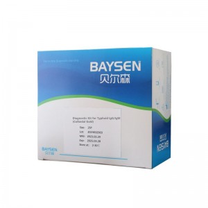Qualitative Blood Typhoid IgG/IgM Rapid test