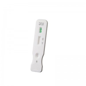 Qualitative Blood Typhoid IgG/IgM Rapid test